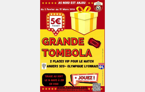 TOMBOLA EN LIGNE