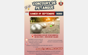 Concours de pétanque