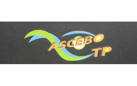 ASCEBO TP